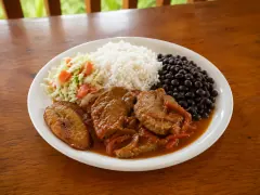 A white plate divided into zones — cabbage and tomato slaw, a mound of white rice, glossy black beans, two fried plantain slices, and braised beef medallions in red tomato gravy with onion and pepper strips.