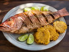 A whole fried red snapper on a pale rimmed platter, its skin crisp and reddish-gold with deep diagonal slashes across the flank and the tail curled up, surrounded by lime wedges and three round golden tostones, on a dark wooden table.